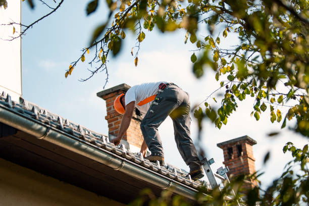 Best Slate Roofing Contractor  in South Hill, VA
