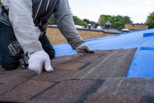 Best New Roof Installation  in South Hill, VA