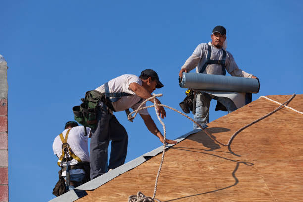 Best Roofing Contractors for Homes  in South Hill, VA