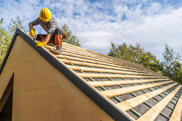 Best Metal Roofing Contractor  in South Hill, VA