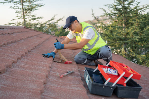 Professional Roofing Contractor in South Hill, VA