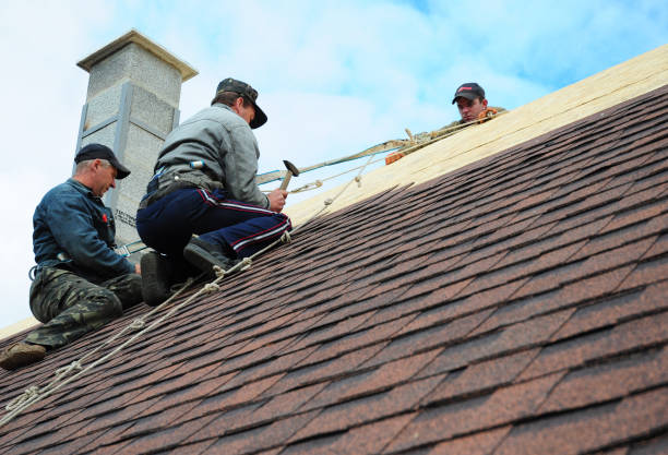Quick and Trustworthy Emergency Roof Repair Services in South Hill, VA
