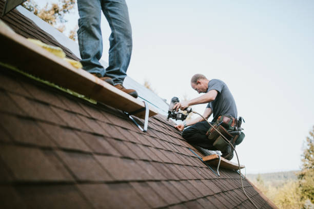 Best Residential Roof Replacement  in South Hill, VA