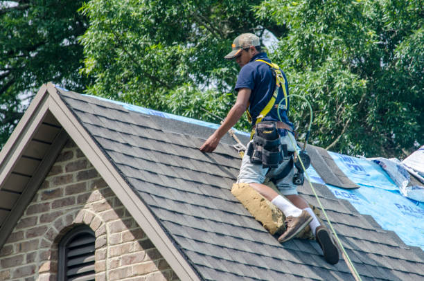 Best Roofing Contractor Near Me  in South Hill, VA