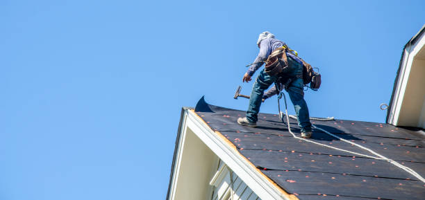 Best Roof Repair Specialists  in South Hill, VA